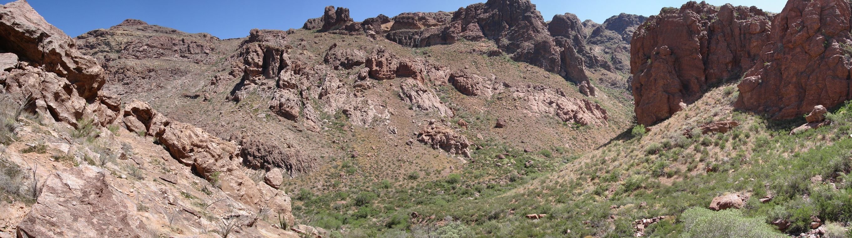Organ Pipe National Monument